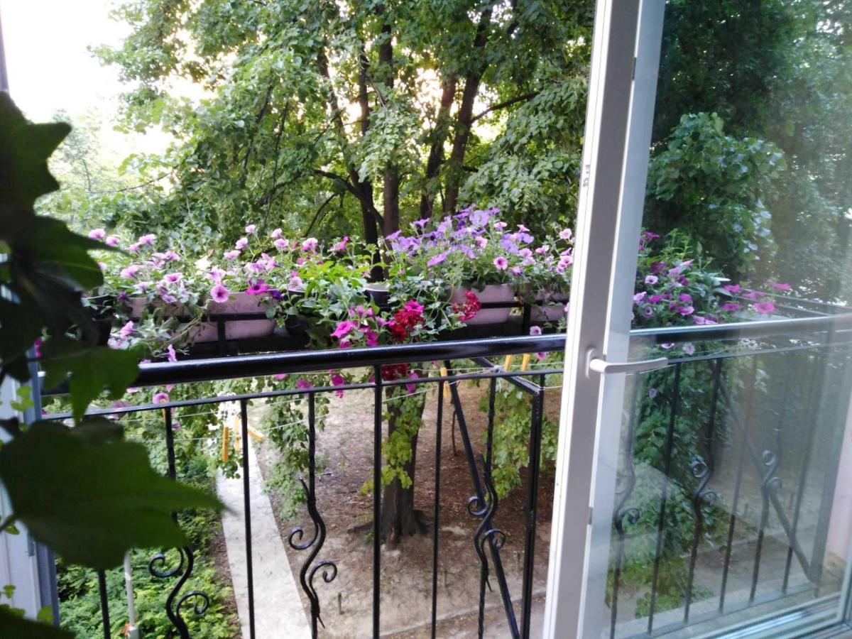Ana Apartment Novi Sad Eksteriør billede